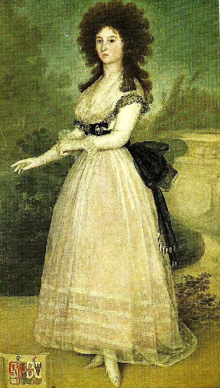 Francisco de Goya dona tadea arias de enriquez china oil painting image